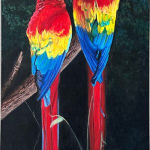 Macaws