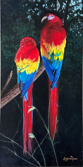 Macaws