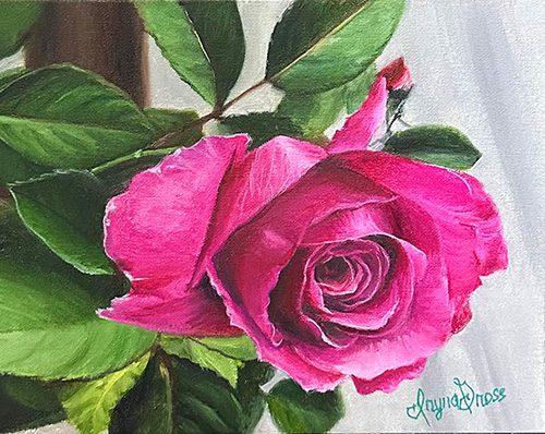 Beautiful Magenta